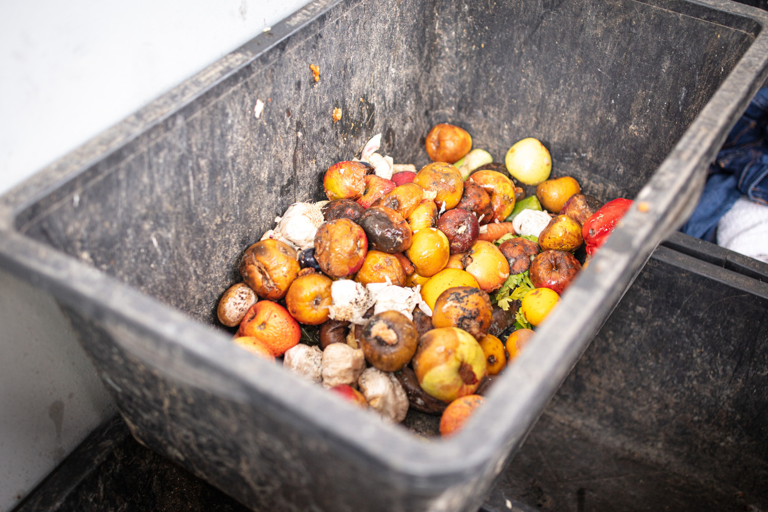 Food waste in a container